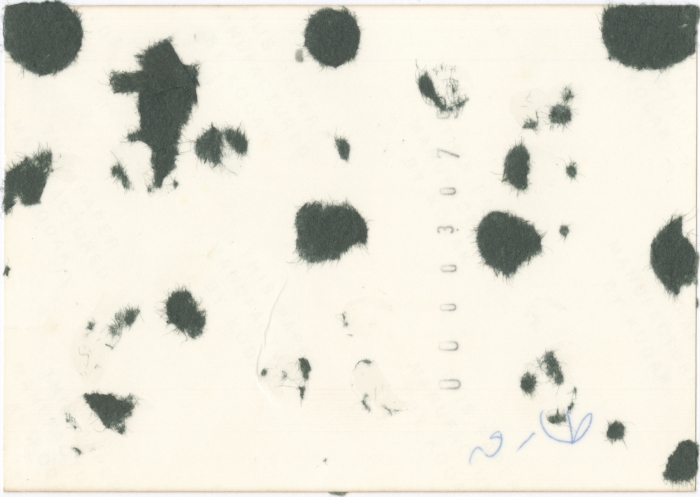 طارق أحمد أبو أحمد حجازي