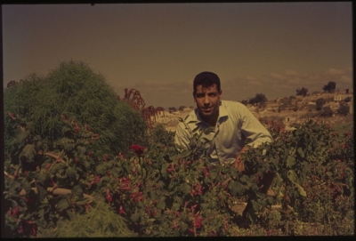 ابراهيم أبو أحمد حجازي، في طمرة