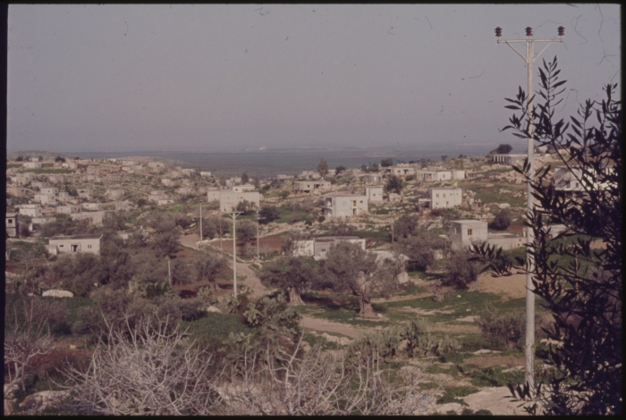 قرية طمرة 
