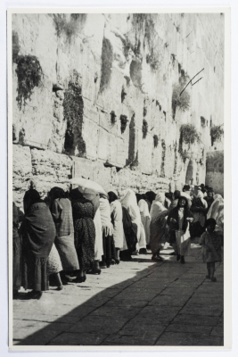 A Postcard Issued by Saman Sahar Photo Studio 
