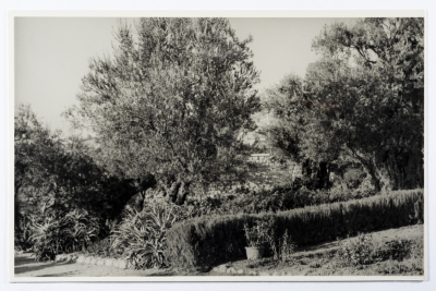 A Postcard Issued by Saman Sahar Photo Studio 
