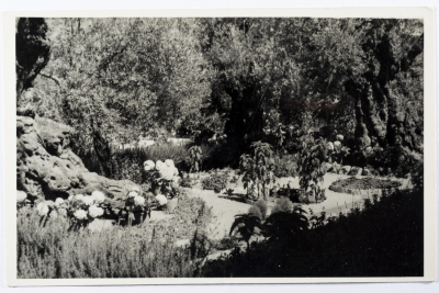 A Postcard Issued by Saman Sahar Photo Studio 
