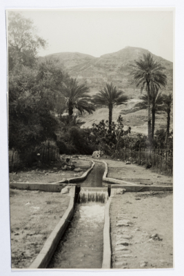 A Postcard Issued by Saman Sahar Photo Studio 
