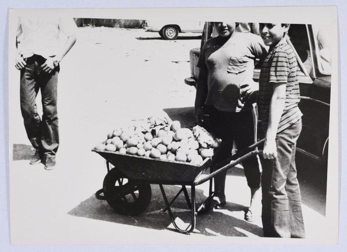 فتى يجرعربة محمَّلة بالفاكهة في مخيم شاتيلا للاجئين