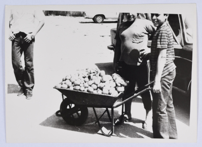 فتى يجرعربة محمَّلة بالفاكهة في مخيم شاتيلا للاجئين