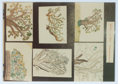 أنشطة مدرسة الفرندز