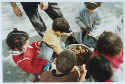 حديقة القيقب