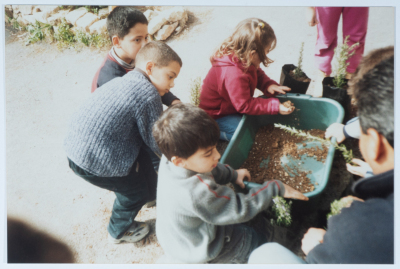 حديقة القيقب