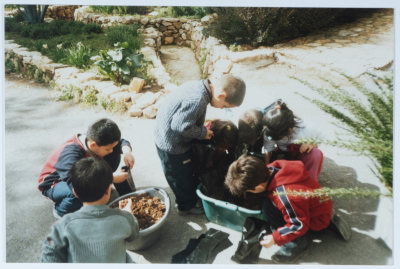 حديقة القيقب