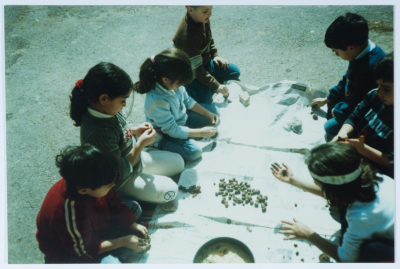 حديقة القيقب