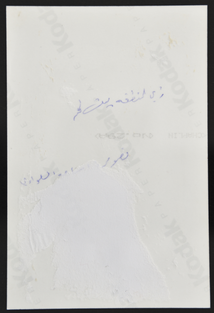 A young woman wearing the traditional Palestinian costume