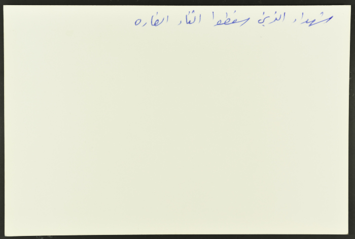 جثامين شهداء، مخيم عين الحلوة، 1982- 1988