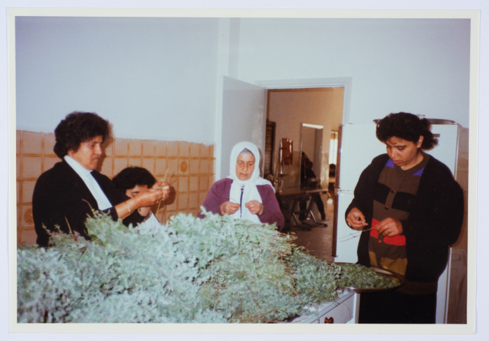 مشاركة أعضاء الهيئة الادارية في جمعية مخيم قلنديا النسائية التعاونية في إحدى المناسبات