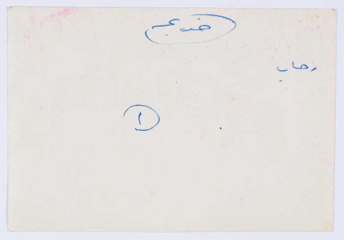 مشاركة عضوات الهيئة الادارية في جمعية مخيم قلنديا النسائية التعاونية في دورة تدريبية