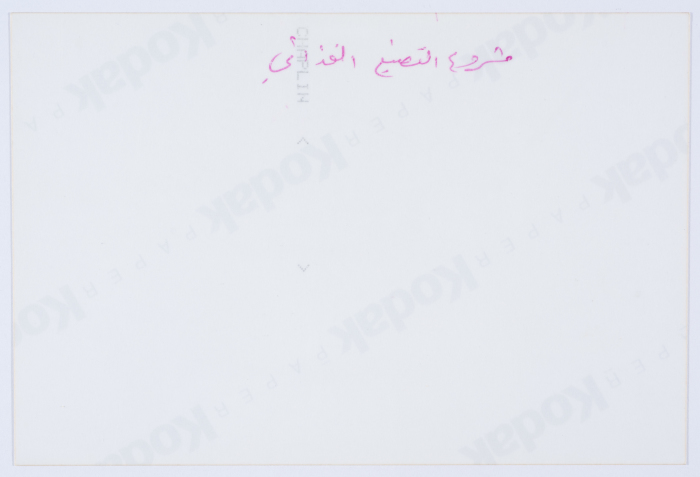 مشاركة أعضاء الهيئة الادارية في جمعية مخيم قلنديا النسائية التعاونية في إحدى المناسبات