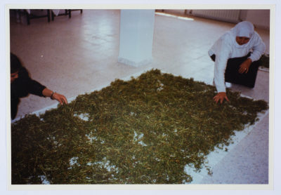 مشاركة أعضاء الهيئة الادارية في جمعية مخيم قلنديا النسائية التعاونية في إحدى المناسبات