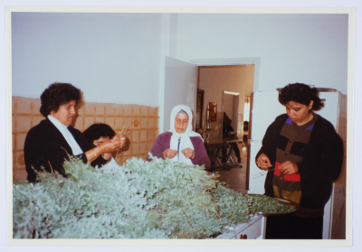 مشاركة أعضاء الهيئة الادارية في جمعية مخيم قلنديا النسائية التعاونية في إحدى المناسبات