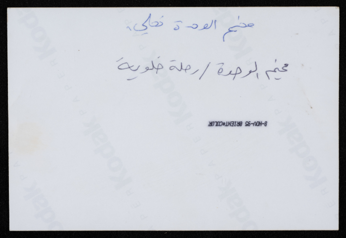مخيم الوحدة