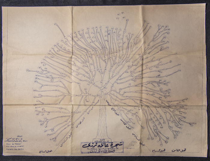 The Terzi family tree
