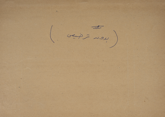 A Sketch of a Construction Plan for Muhammad Husein Minawi Issued by the Municipality of Tulkarm, 1946