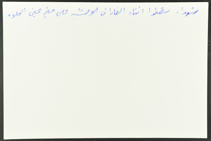 شهداء في غارات إسرائيلية، مخيم عين الحلوة، 1982- 1988