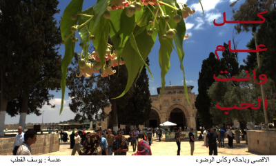 Ablutions cup in Al-Aqsa