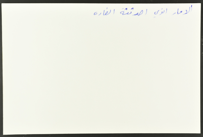 جموع من الناس يتفحصون الدمار، مخيم عين الحلوة، 1982- 1988