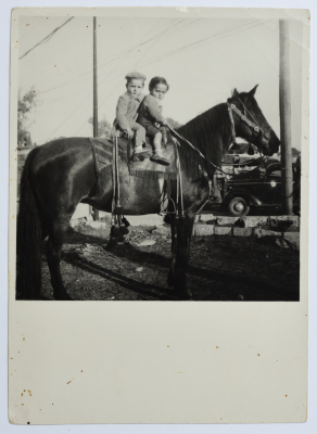 A Photograph of Ibrahim and Ibrahim Jarrar on a Horseback in Ramallah