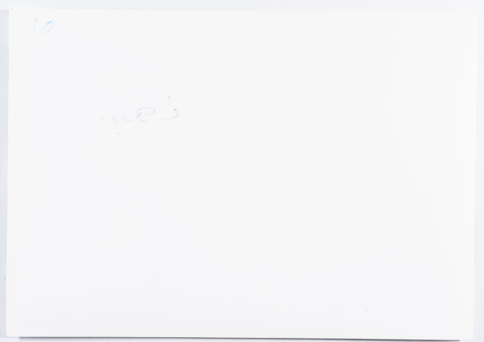 زيارة ضريح الشهيده غالية فرحات