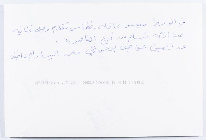 ميسر عاقله غطاس ومجموعة من النساء من فرع الناصره