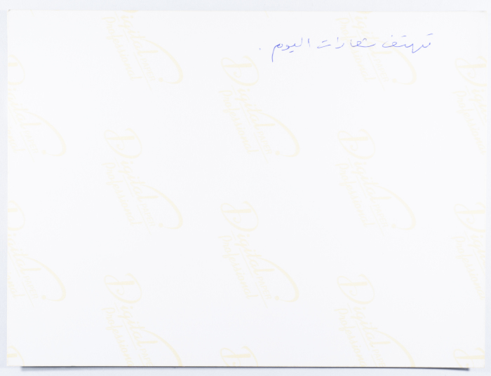 A portrait of the Secretary-General of the Movement of Democratic Women at the 8th of March demonstration, 2012