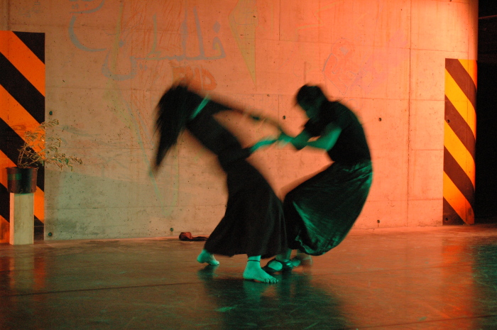 A Glimpse of el-Funoun Troupe's Italy Tour