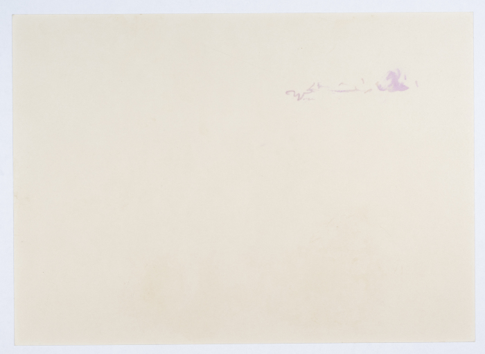 Celebrating the victory of the Nazareth Democratic Front in the municipal elections