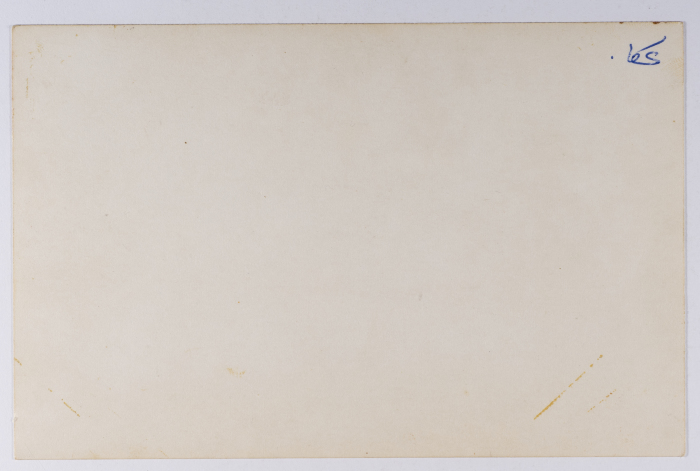 مخيم الاطفال 