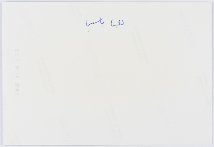 A portrait of Laila Yassin