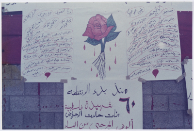 بازار تضامني في الناصره
